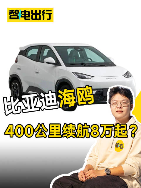 8万元的比亚迪海鸥能打爆纯电小车市场吗？