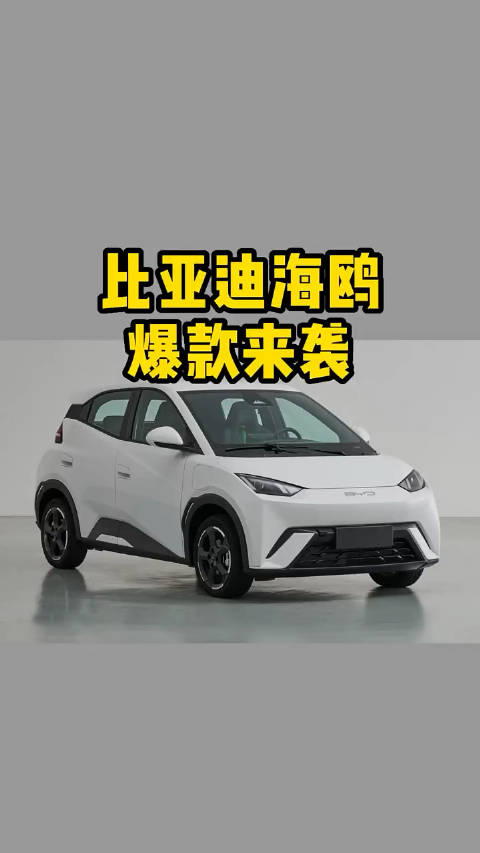 爆款即将来袭！比亚迪海鸥申报，谁可一战？