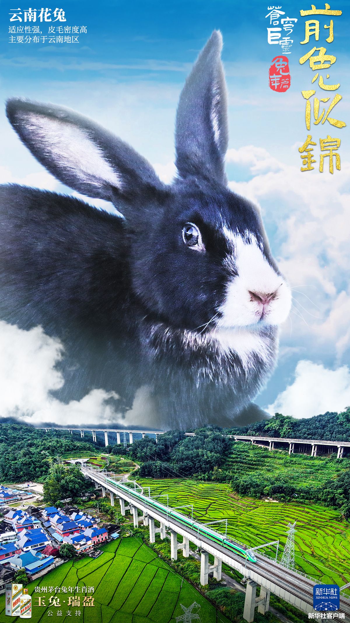 极兔在中国有多少正式员工 8f14-04126fe77c98b45d5dc12bff14fdf46a.jpg