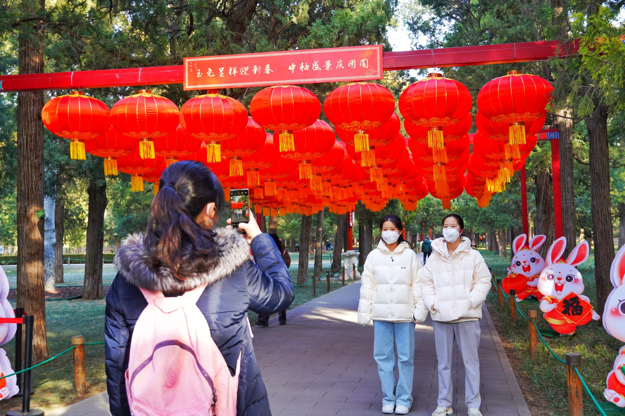 红灯笼把景山公园装扮得热闹红火,吸引游客拍照。景山公园供图