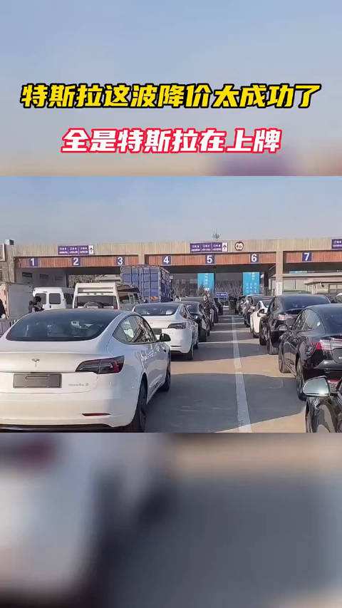 特斯拉这波降价太成功了，全是特斯拉在上牌！