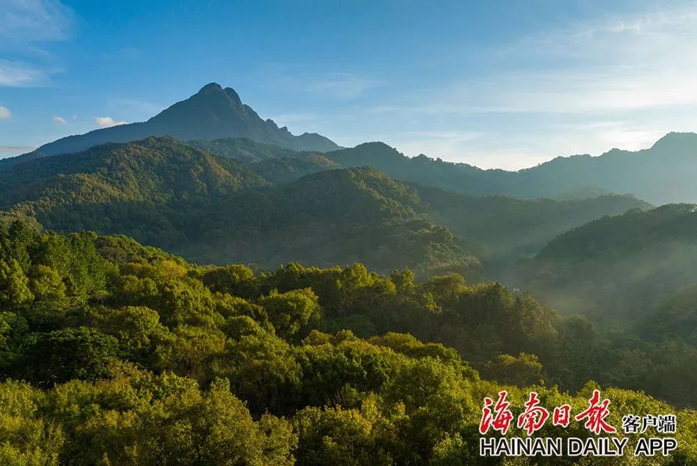 海南热带雨林国家公园五指山片区。海南日报记者 李天平 摄