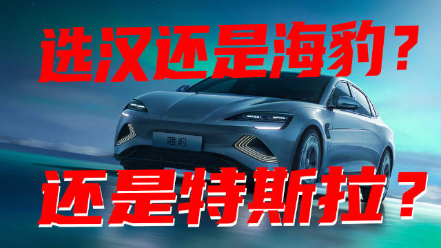 豆车一分钟：选比亚迪汉还是海豹？还是特斯拉Model3？