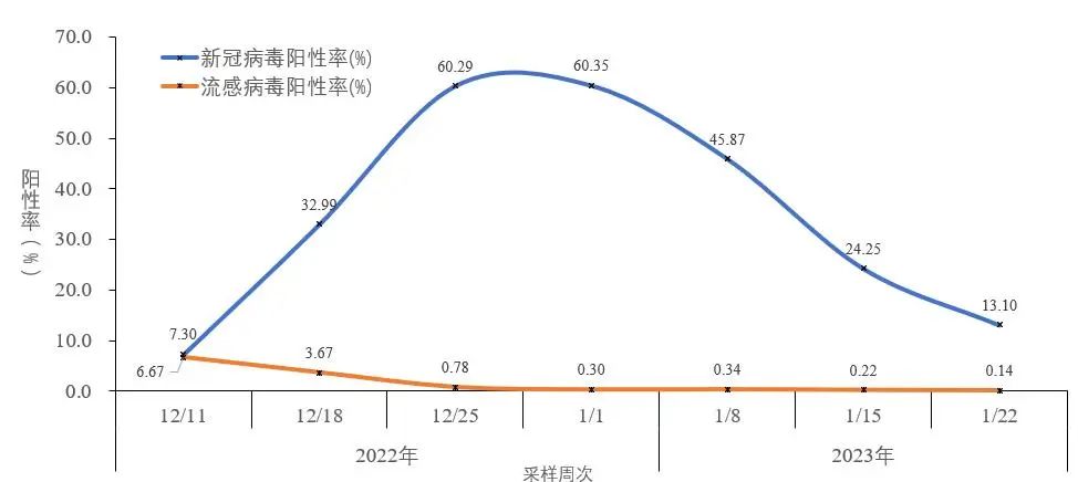 图2-5 全国哨点医院流感样病例新冠和流感病毒阳性率变化趋势(数据来源于402家网络实验室)
