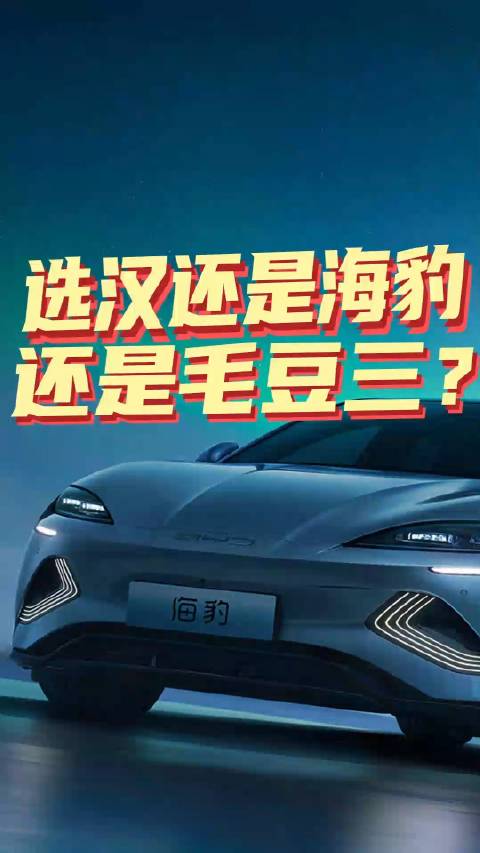选比亚迪汉，还是海豹，还是特斯拉Model3？
