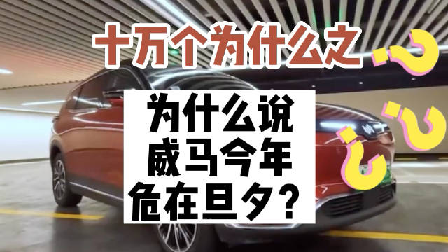 十万个为什么之为什么说威马今年危在旦夕？