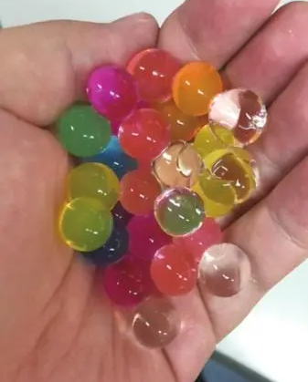 百科 | “海洋宝宝”吸水就能“长大”,是什么原理?1 百科 | “海洋宝宝”吸水就能“长大”,是什么原理?