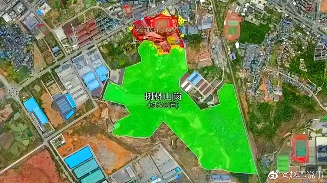 胡鑫宇事件这两天又再次轰动全网……