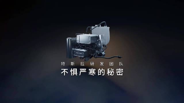 特斯拉冬日徽章