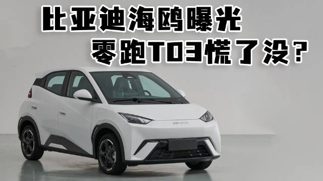 日前，我们从相关渠道获取到一组比亚迪海鸥的内饰谍照……