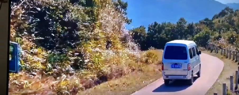 脑死亡捐献感人故事 器官捐赠生命延续奇迹