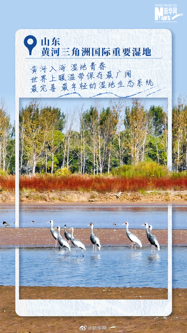 一起感受中国湿地之美休闲区蓝鸢梦想 - Www.slyday.coM