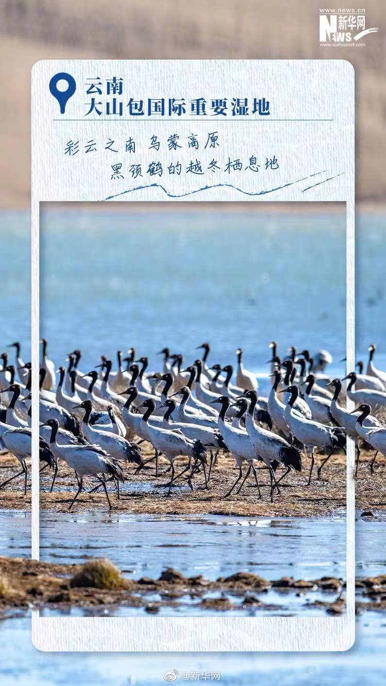 一起感受中国湿地之美休闲区蓝鸢梦想 - Www.slyday.coM