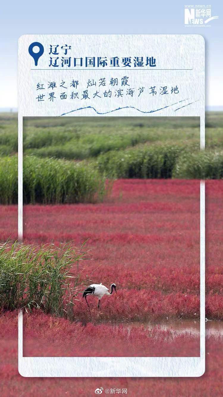 一起感受中国湿地之美休闲区蓝鸢梦想 - Www.slyday.coM