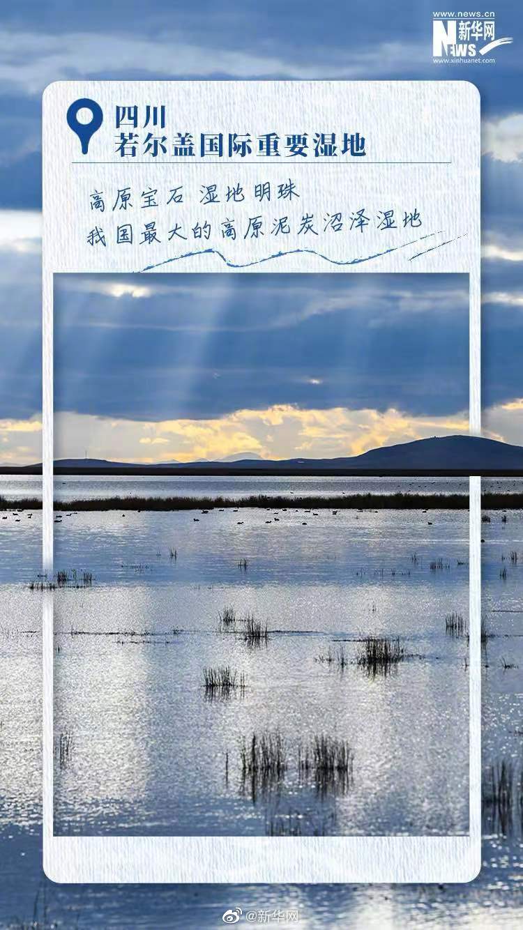 一起感受中国湿地之美休闲区蓝鸢梦想 - Www.slyday.coM