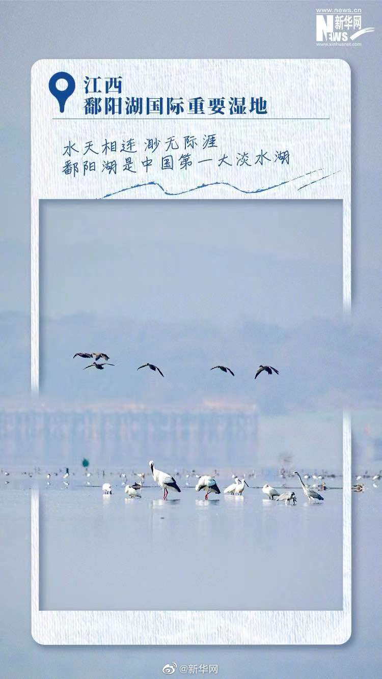 一起感受中国湿地之美休闲区蓝鸢梦想 - Www.slyday.coM