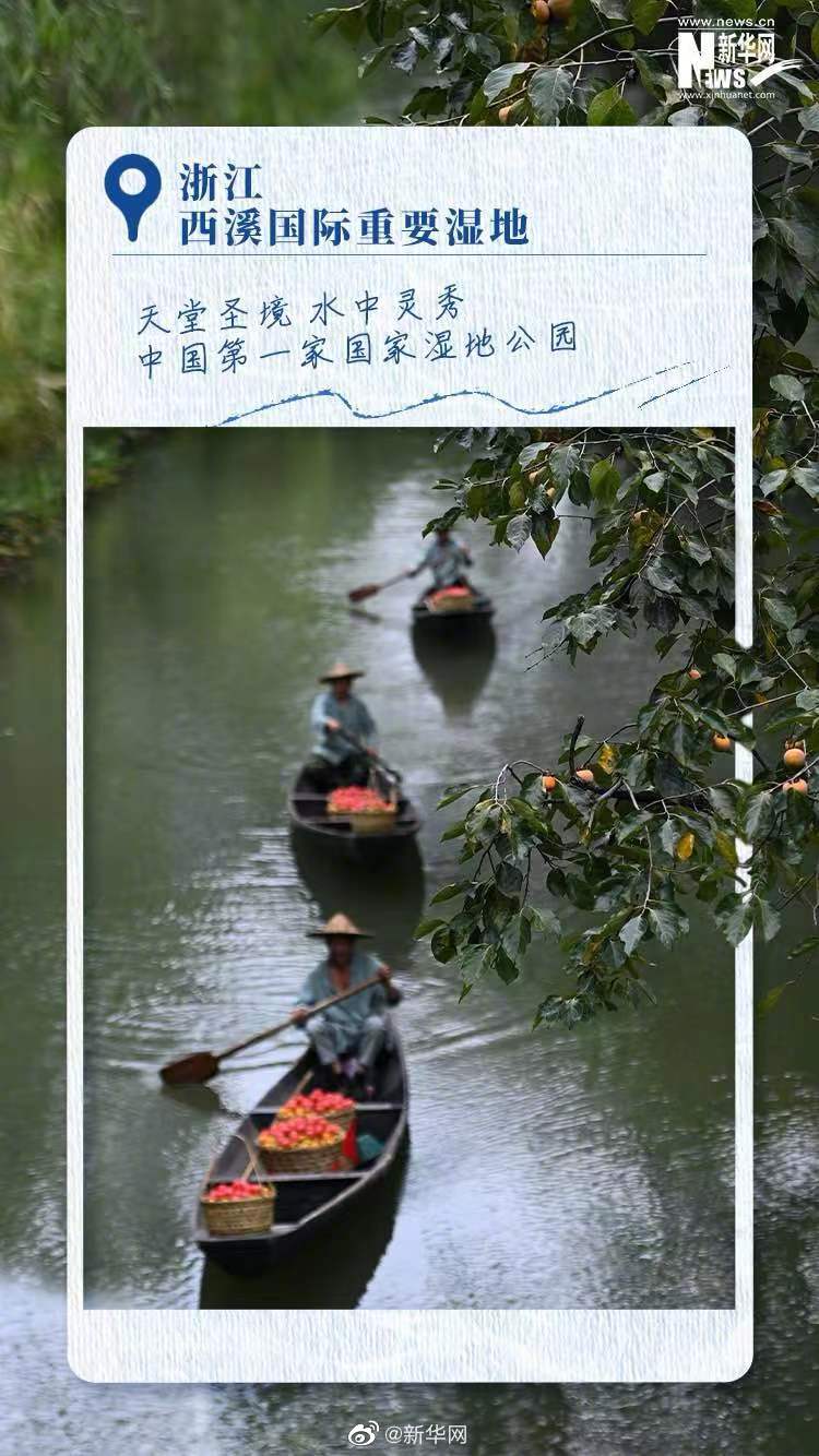 一起感受中国湿地之美休闲区蓝鸢梦想 - Www.slyday.coM