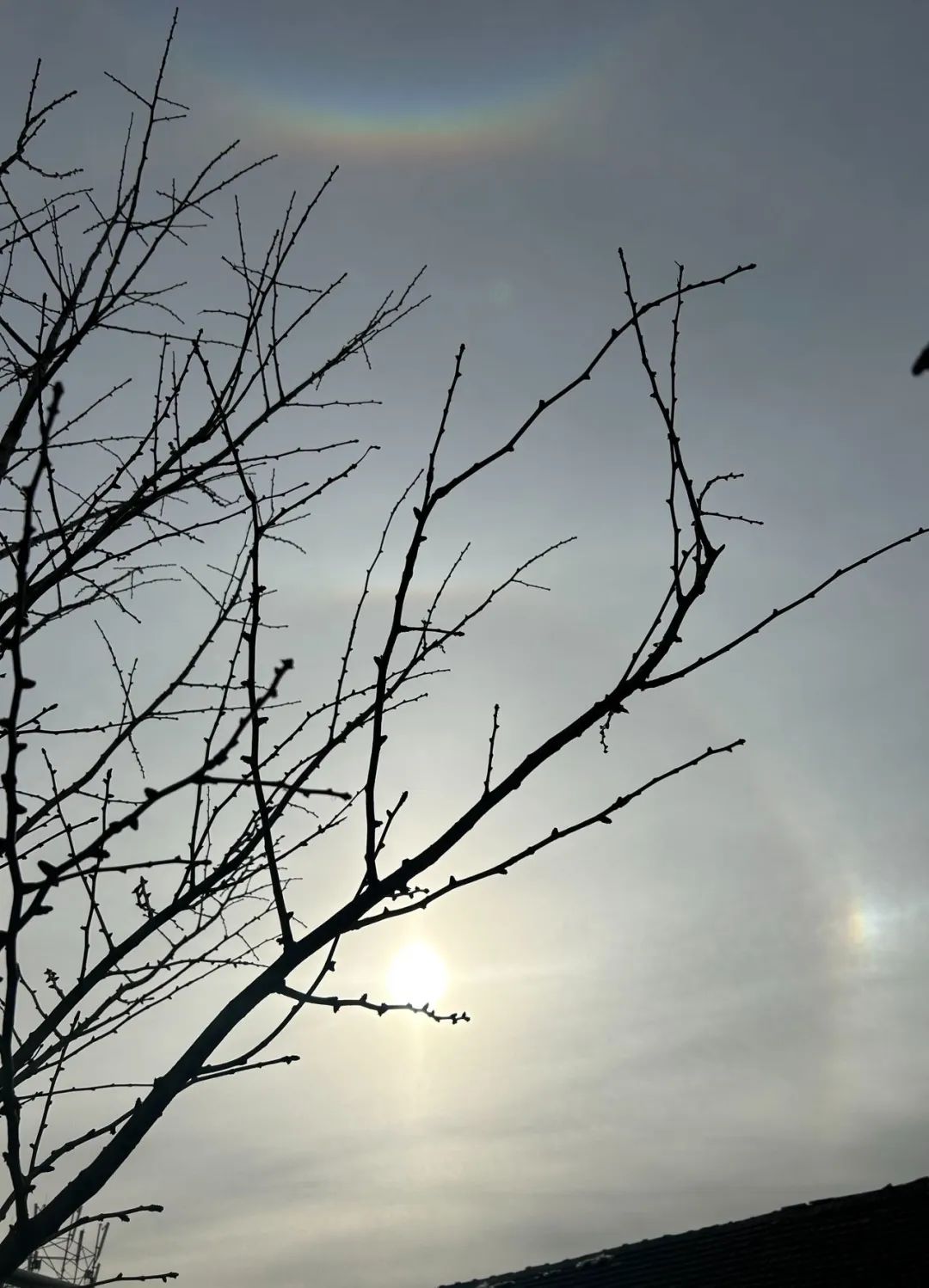抬头见“幻日”,今儿北京这太阳这预示会有风雨?