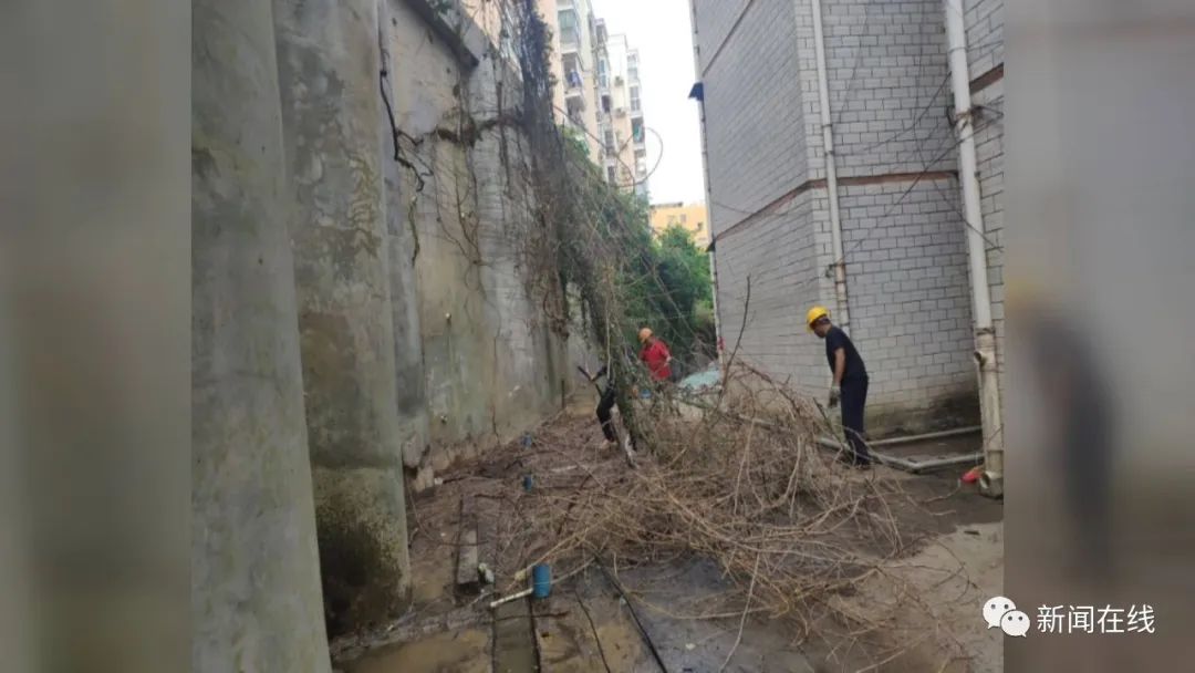 以前“讨人厌”,现在不想搬走,南宁这个小区为什么让人慕了?【话题】休闲区蓝鸢梦想 - Www.slyday.coM 以前“讨人厌”,现在不想搬走,南宁这个小区为什么让人慕了?【话题】休闲区蓝鸢梦想 - Www.slyday.coM