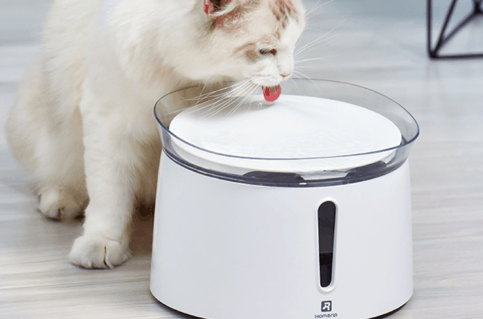 猫猫狗狗宠物饮水机不出水（【宠物科技】电麻了猫狗？宠物饮水机的玩法你不懂）