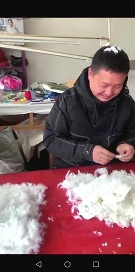▲近日,耒阳,陈先生在挑选做羽绒服的绒朵。 视频截图