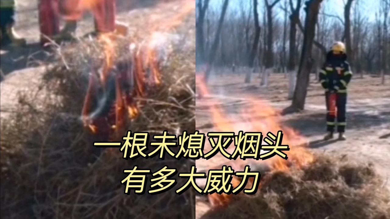 700不限次数：当普惠经济遇上流量消费革命