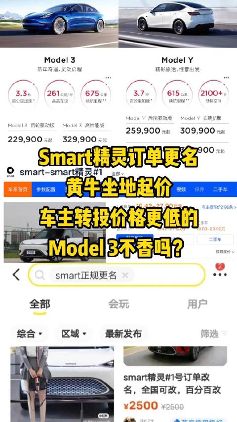 Smart精灵订单更名黄牛坐地起价……
