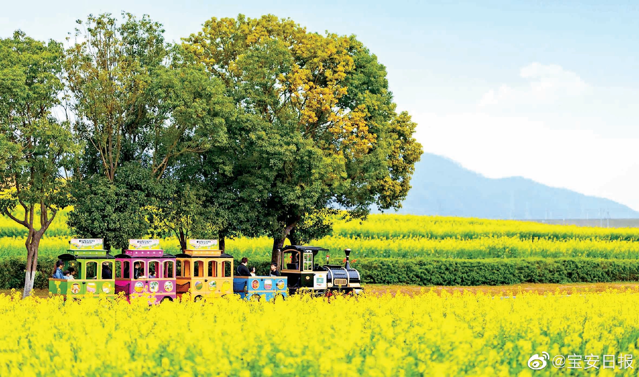 为什么越来越多农村人开始追求文艺了？