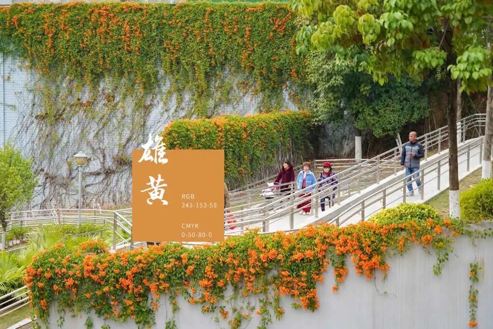 居然可以这样(中国最厉害的短线高手)中国最厉害的短线高手是谁呀图片【2023已更新】-第5张图片-股票配资平台网 居然可以这样(中国最厉害的短线高手)中国最厉害的短线高手是谁呀图片【2023已更新】-第5张图片-股票配资平台网