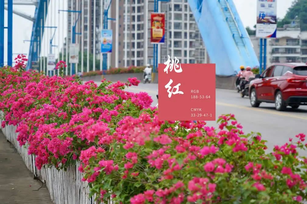 居然可以这样(中国最厉害的短线高手)中国最厉害的短线高手是谁呀图片【2023已更新】-第3张图片-股票配资平台网 居然可以这样(中国最厉害的短线高手)中国最厉害的短线高手是谁呀图片【2023已更新】-第3张图片-股票配资平台网