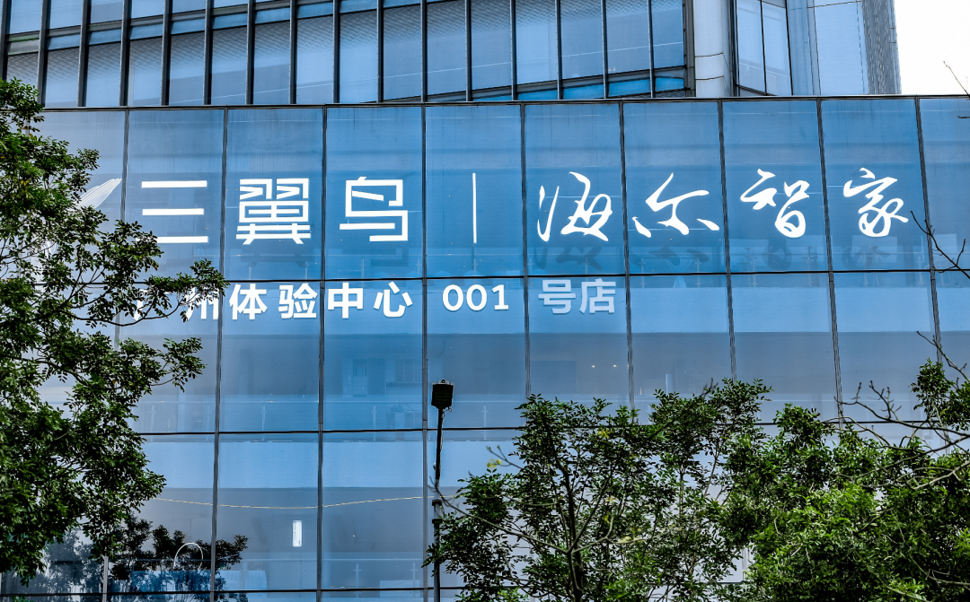 北京智鸟科技,北京智鸟科技有限公司