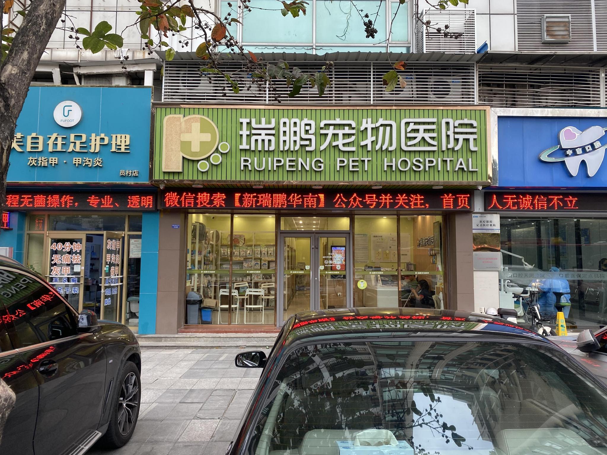 宠物行业上市公司排名（又一家宠物巨头向上市发起冲击，近年来宠物行业热闹不断）