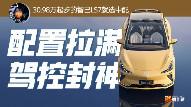 作为自主纯电豪华中大型SUV的新势力……
