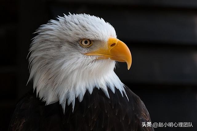 山东海域现不明飞行物 官方:准备击落~论美国人的国民性休闲区蓝鸢梦想 - Www.slyday.coM 山东海域现不明飞行物 官方:准备击落~论美国人的国民性休闲区蓝鸢梦想 - Www.slyday.coM