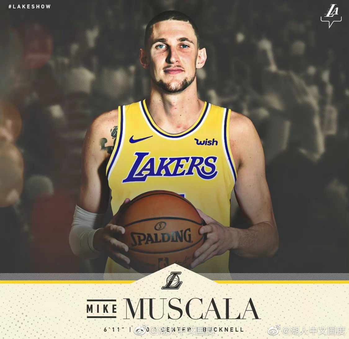 球队核心球员表现与状态追踪