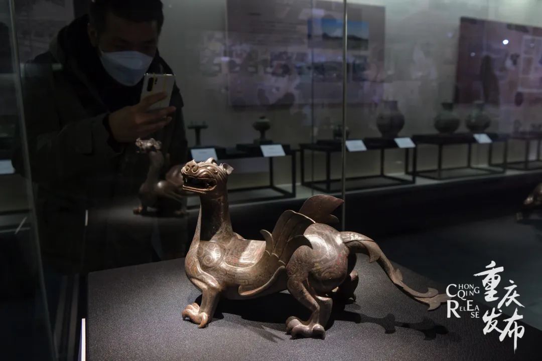 市民在现场观展。邹乐 摄