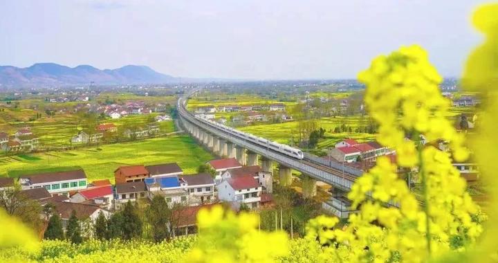 第14届中国油菜花海汉中旅游节即将启幕|旅游节|油菜花海|中国_新浪新闻
