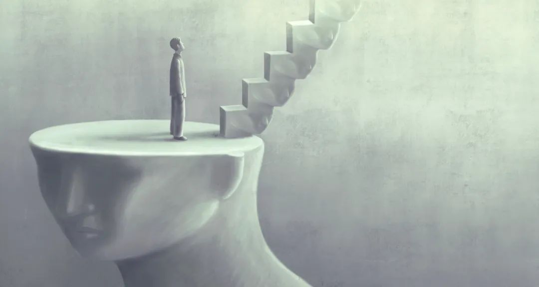 宠物医疗巨头（中国“宠物医疗第一股”，资本催肥的又一个泡沫？）