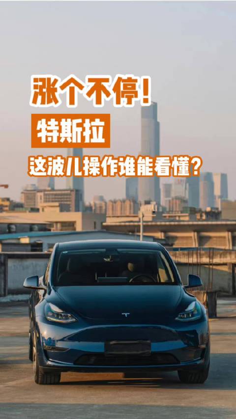 涨个不停 特斯拉这波操作谁看懂了？