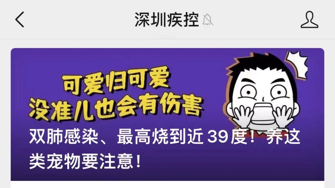 肺部感染发烧怎么退烧（肺部感染发烧！一地连续报告病例，养这类宠物要小心！）