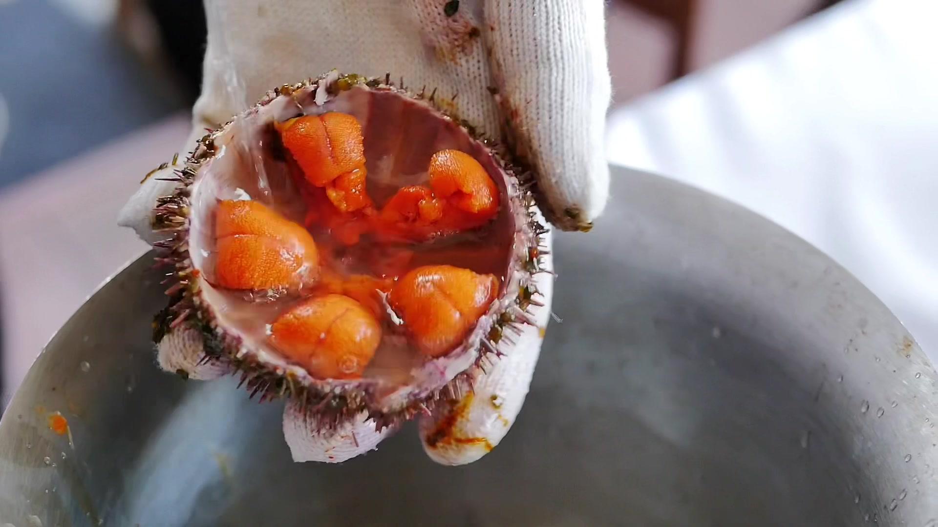 海胆蒸蛋,海胆蒸蛋的家常做法 - 美食杰海胆蒸蛋做法大全