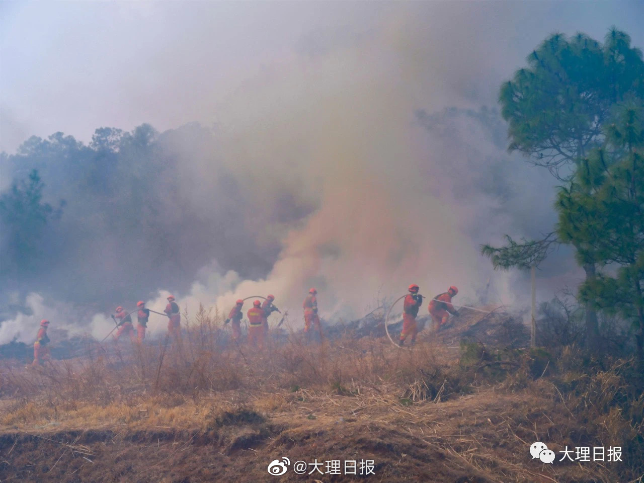 #河南安阳42死火灾调查报告公布 #热点知多少_凤凰网视频_凤凰网