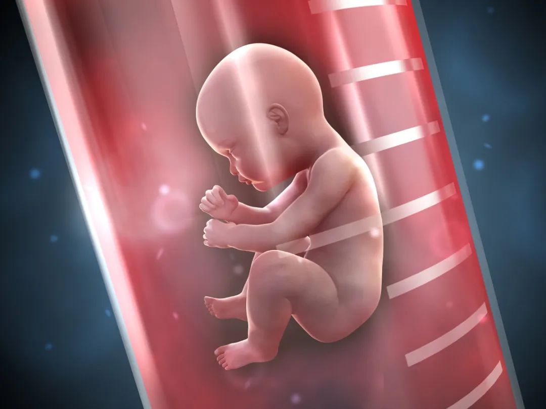 试管婴儿出生8年发现放错胚胎，谁的错？（试管搞错要坐牢吗）