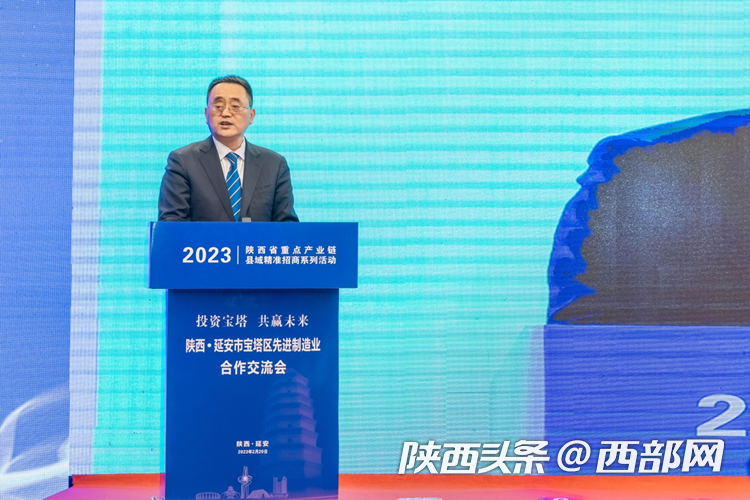 陕西省商务厅副厅长王宏伟