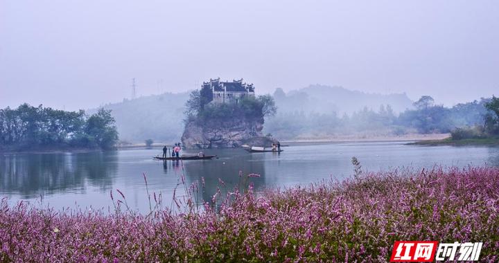 江楚阳最后和谁在一起了啊