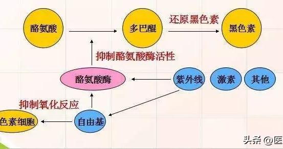 怎么提高网站收录