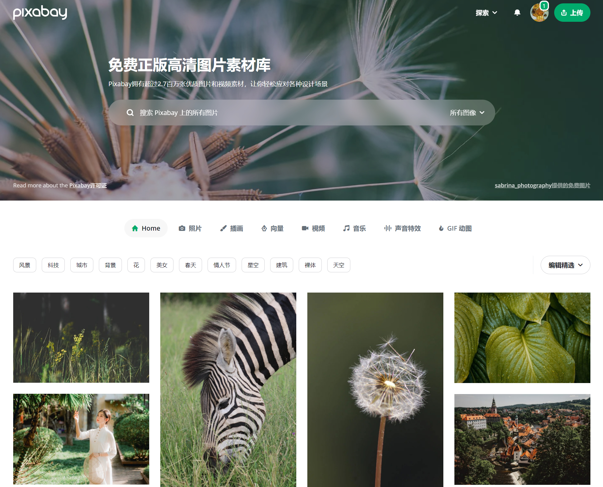 网站制作前景怎么样