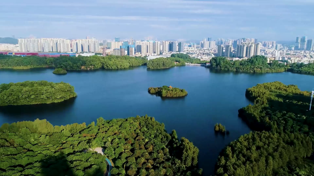 记者手记|“升维”的坪山:发展逻辑更新 底层硬件升级3 记者手记|“升维”的坪山:发展逻辑更新 底层硬件升级