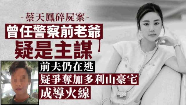 名媛蔡天凤碎尸案内情曝光，亿元家产招杀祸，前夫警长父亲成主谋 碎尸案 曝光 新浪新闻