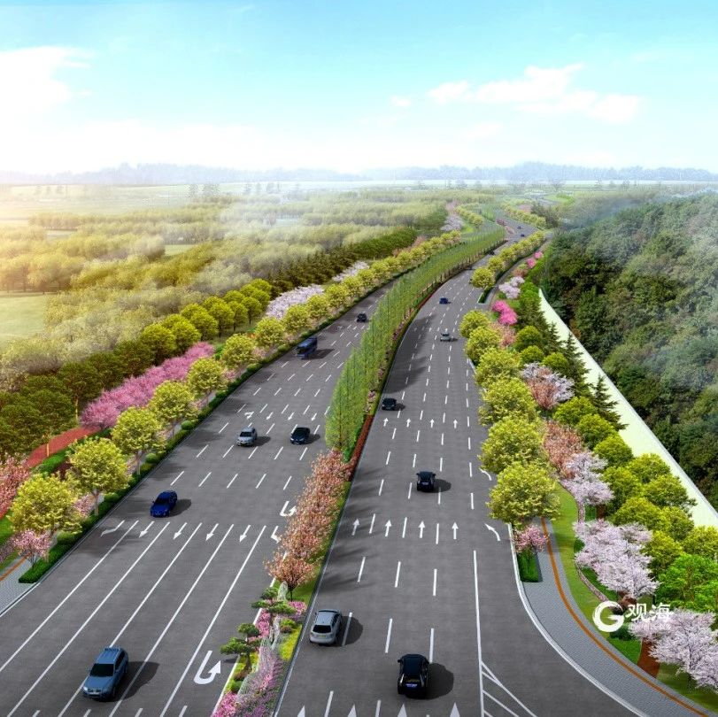 今天启动!李沧区这条路将变双向八车道|浮山|李沧区|启动仪式_新浪新闻